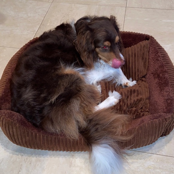 Brown super soft velvet dog or cat bed. - Picture 2 of 5